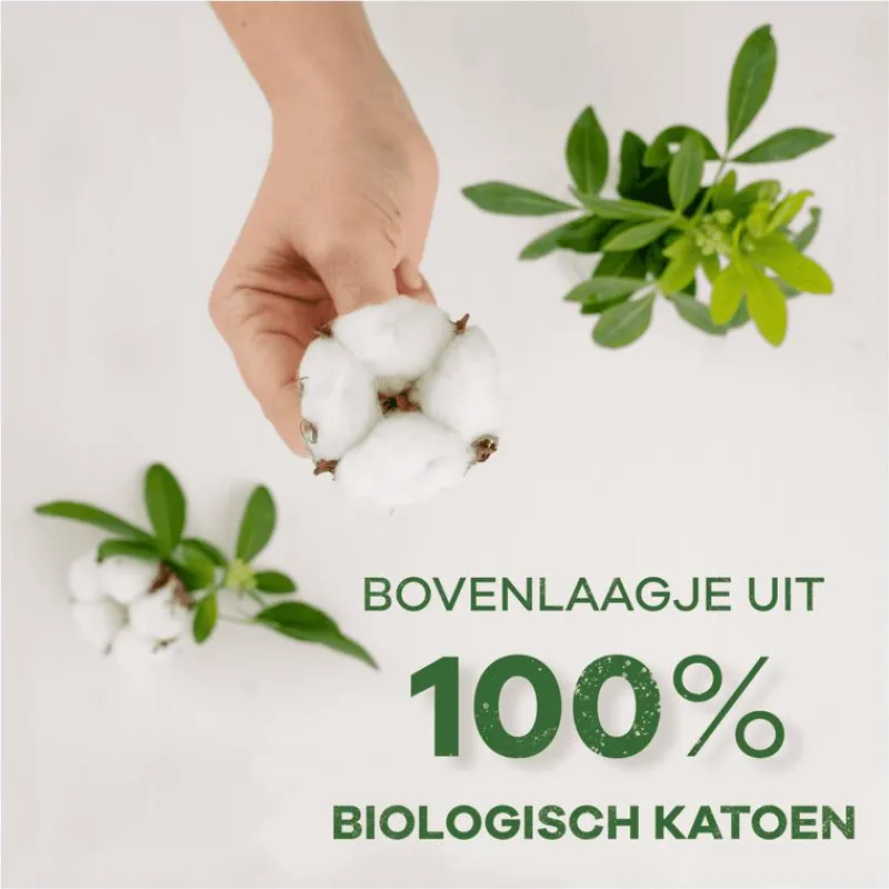Always Inlegkruisjes Bio Cotton Normal Big Pack