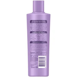 Andrélon Zilver Care Shampoo 250 ML