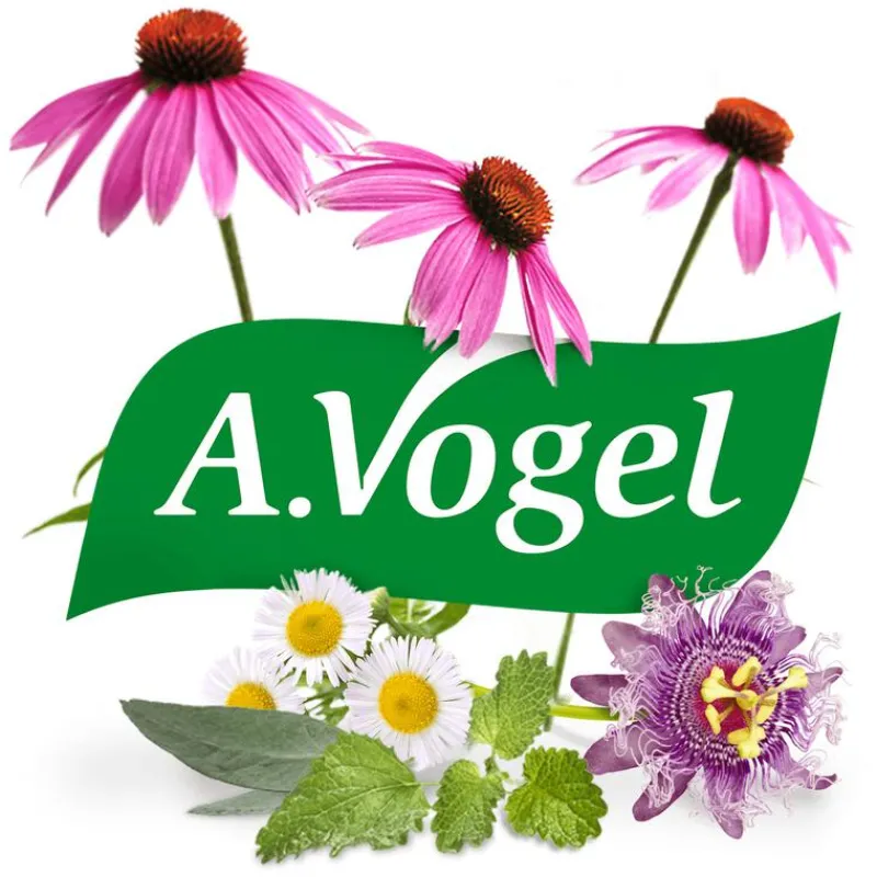 A.Vogel Echinaforce Bij Onvoldoende Weerstand En Griep Druppels 100 ML
