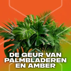 AXE Jungle Fresh 3-in-1 Douchegel 250 ML