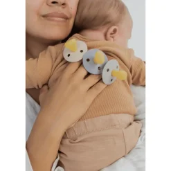 Bibs Anatomische Glow in the Dark Fopspeen 2 Pack Natuurlijk Rubber Sage/Rubber Maat 2