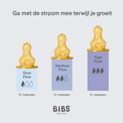 Bibs Bottle Nipple Flesspeen Medium Flow 2 pack