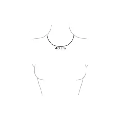 BiSjU Jewellery Ketting Munt Gold Plated