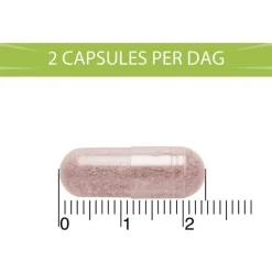 BlaseBerry 100 capsules