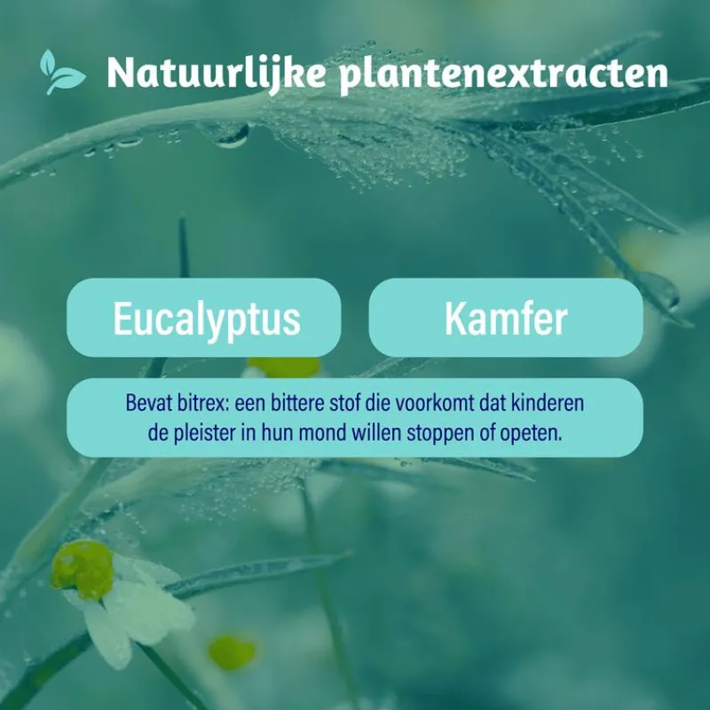 Dampo Inhalatiepleisters 6 pleisters