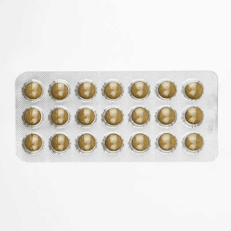 Salus Floradix Ijzer 147 Tabletten