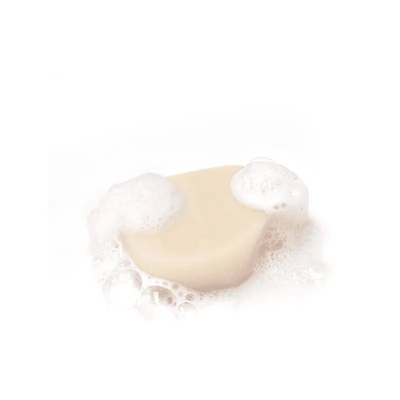 Garnier Loving Blends Honing Goud Shampoo Bar 60 GR
