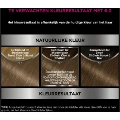 Garnier Olia Permanente Haarverf