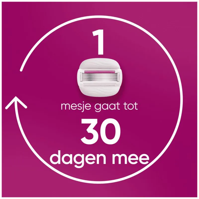 Heren Gillette Venus ComfortGlide Sugarberry Navulmesjes 3 Stuks