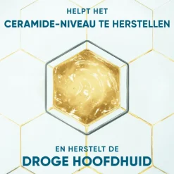 Head and Shoulders Head & Shoulders Derma X Pro Hydrateert Shampoo Anti-roos 250 ml