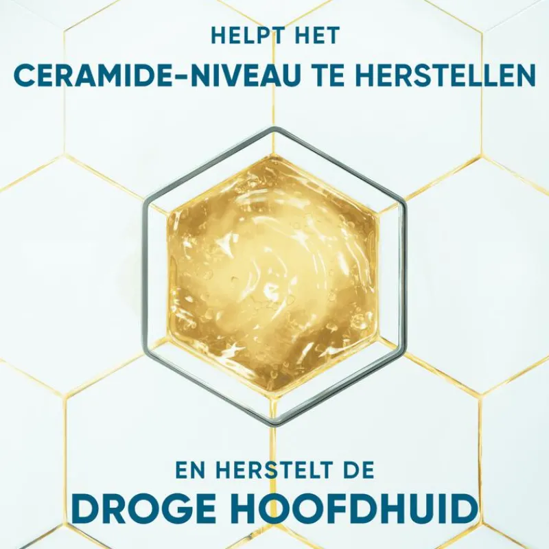 Head and Shoulders Head & Shoulders Derma X Pro Hydrateert Shampoo Anti-roos 250 ml