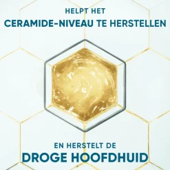 Head and Shoulders Head & Shoulders Derma X Pro Kalmeert Anti-Roos Shampoo 250 ML