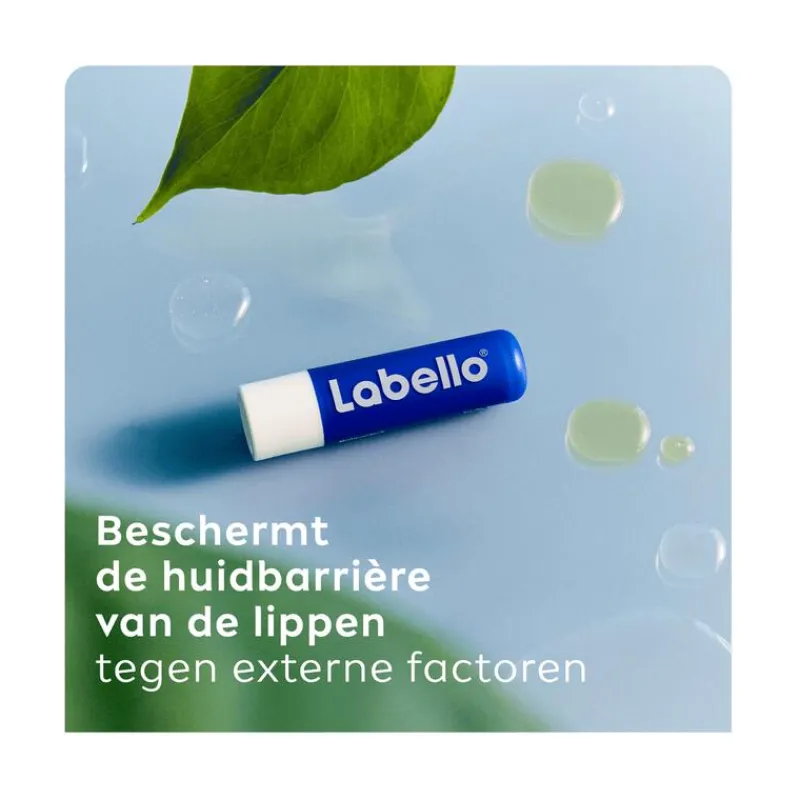 Labello Original Lippenbalsem 24u Hydratatie 1 Stuk