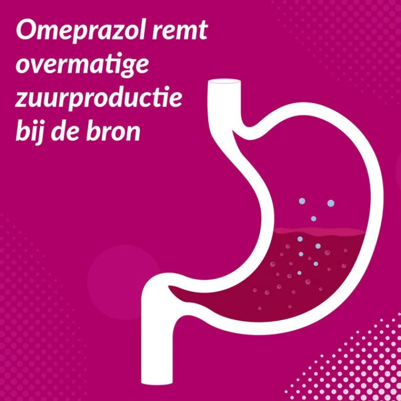 Losecosan tegen terugkomend brandend maagzuur 14 tabletten