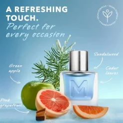 Heren Mexx Ice Touch Man eau de toilette 30 ML