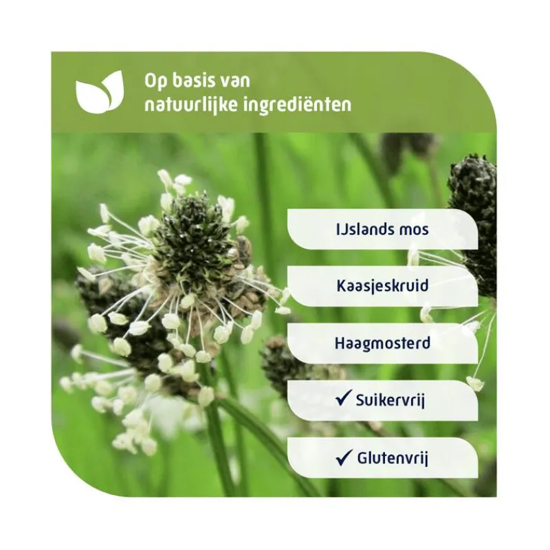 Natterman Direct Voor Alle Hoest Suikervrij Siroop 120ML