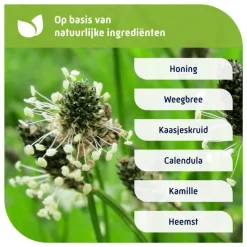 Natterman Nacht Voor Alle Hoest 150 ML