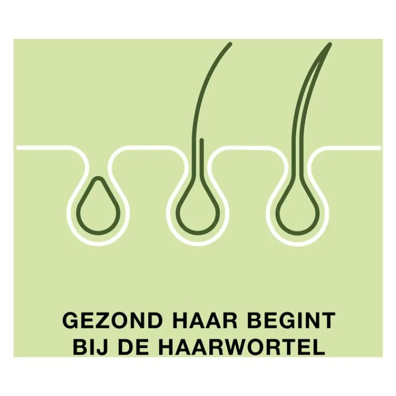 Priorin 60 Capsules Met Biotine Voor Sterk En Vol Haar Van Binnenuit