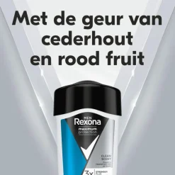 Rexona Men Maximum Protection Clean Scent Deodorant Stick 45 ML