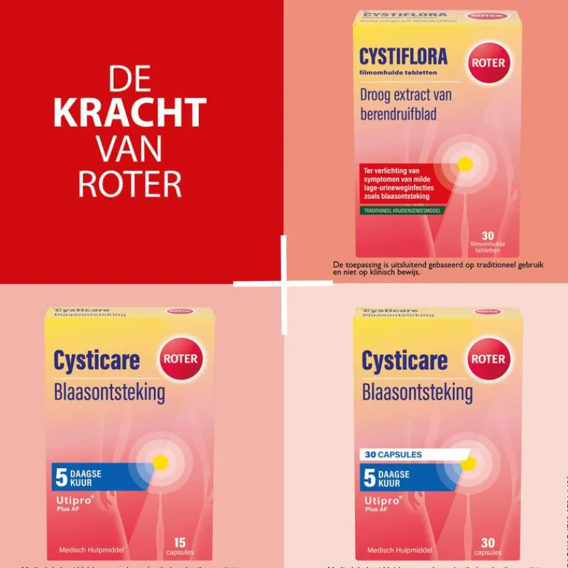 Roter Cystiflora 30 tabletten