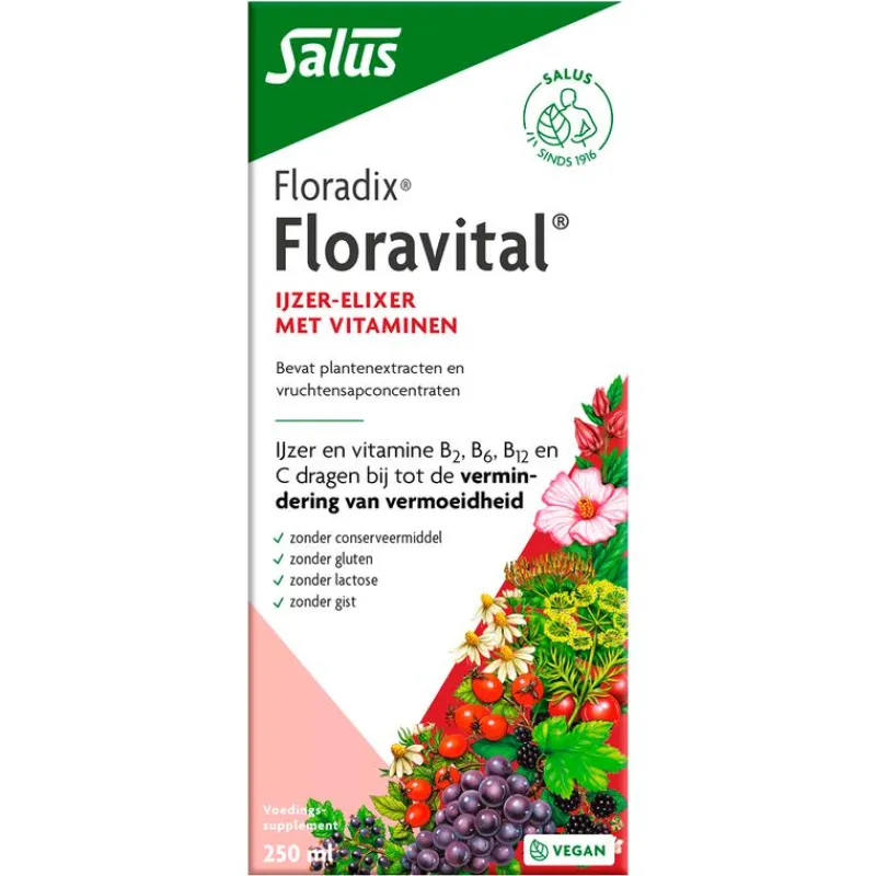 Salus Floradix Floravital 250 ML
