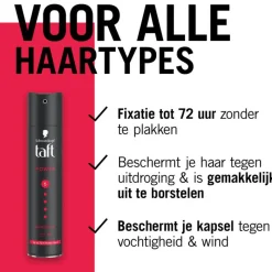 Taft Styling Power Haarspray 250 ML