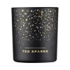 Ted Sparks Demi Candle Cinnamon & Spice