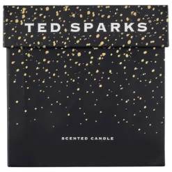 Ted Sparks Demi Candle Cinnamon & Spice