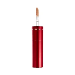 TirTir Glide & Hide Blurring Concealer 4 N