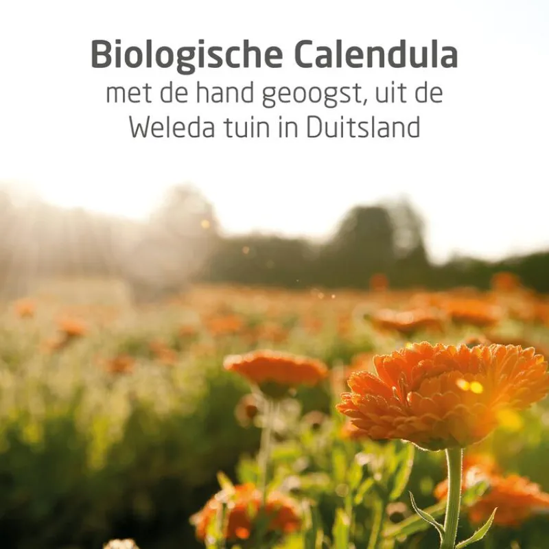 Weleda Baby Calendula Bodycrème
