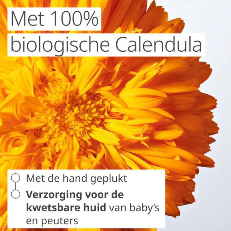 Weleda Calendula Billenbalsem 30 ML
