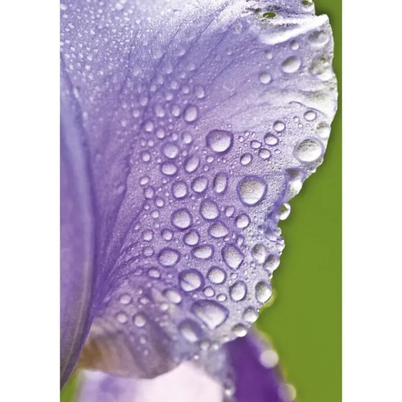Weleda Iris Hydraterende Dagcrème 30 ML