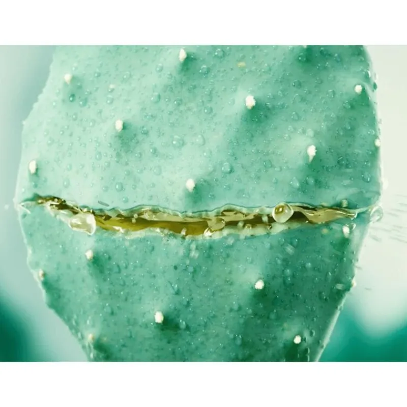 Weleda Vijgencactus Hydraterende Gezichtscrème 30 ML